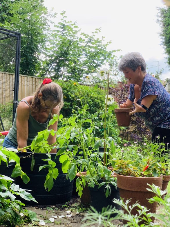 Simon gardening